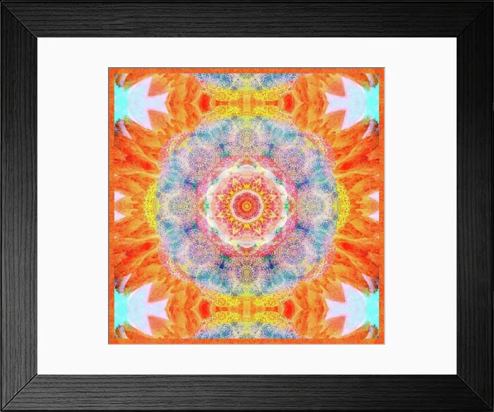 Framed Print : photographic flowers mandala Framed Print : photographic flowers mandala