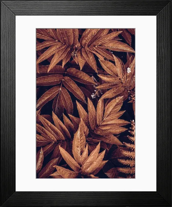 Framed Print : brown plant leaves in autumn season, brown background