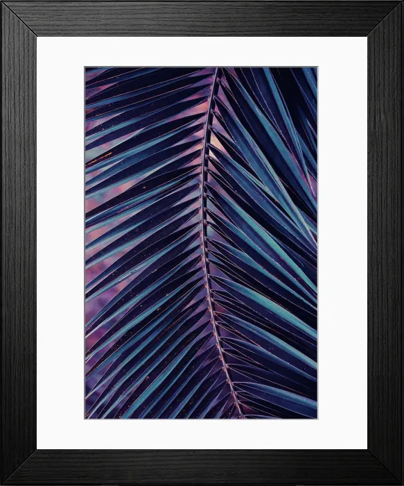 Framed Print : blue palm tree leaves, blue background Framed Print : blue palm tree leaves, blue background
