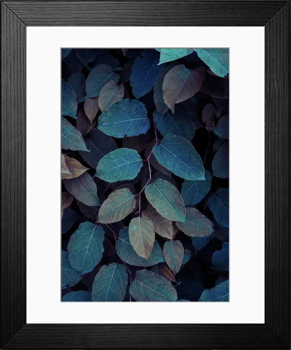 Framed Print : blue plant leaves in the nature in fall season, blue background Framed Print : blue plant leaves in the nature in fall season, blue background