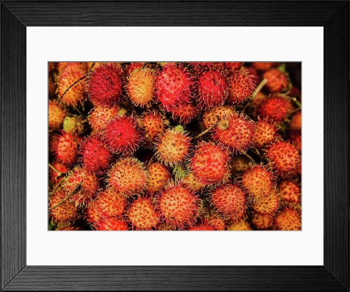 Framed Print : Rambutan fruit Vietnam, Southeast Asia