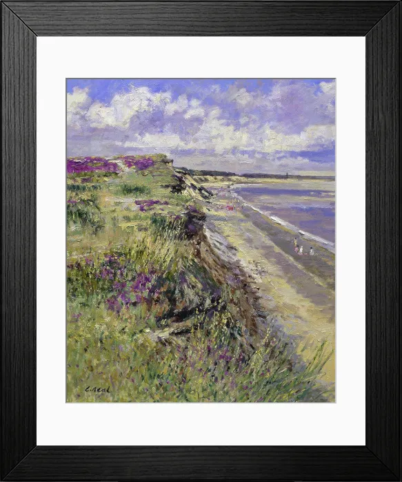 Framed Print : Minsmere Cliffs, Looking Towards Dunwich Framed Print : Minsmere Cliffs, Looking Towards Dunwich
