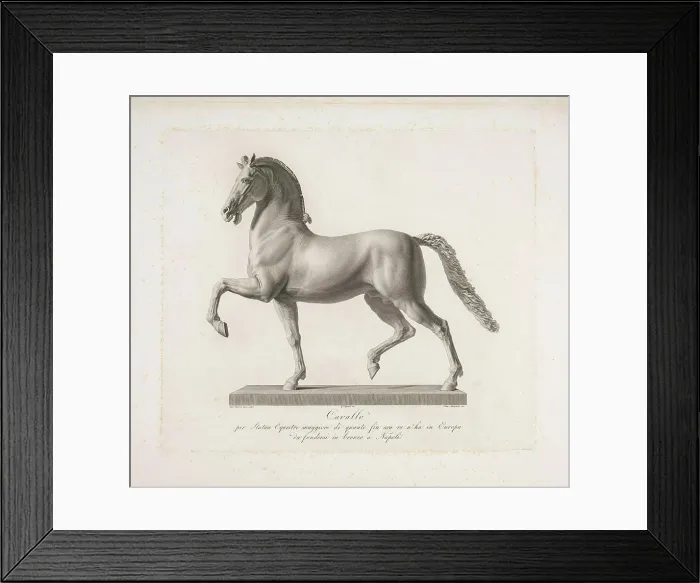 Framed Print : Horse; Cavallo; Sculptures by Antonio Canova. Sculpture of a horse by the Italian sculptor Antonio Canova Framed Print : Horse; Cavallo; Sculptures by Antonio Canova. Sculpture of a horse by the Italian sculptor Antonio Canova