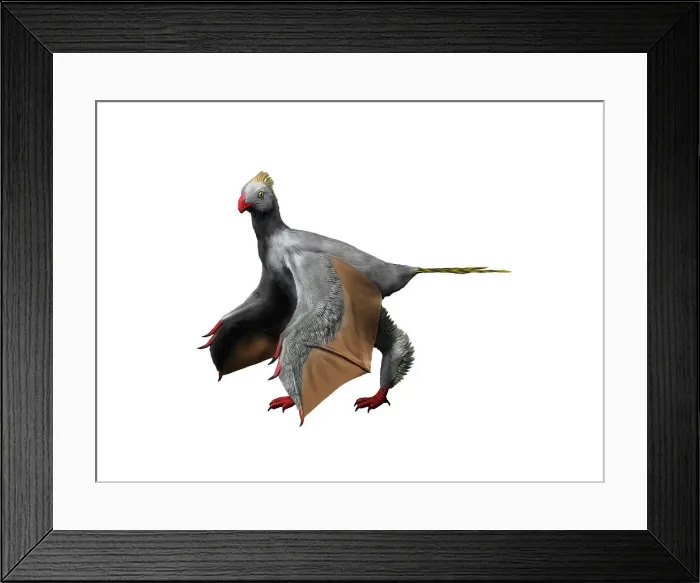 Framed Print : Yi qi is an extinct theropod from the Late Jurassic of China Framed Print : Yi qi is an extinct theropod from the Late Jurassic of China