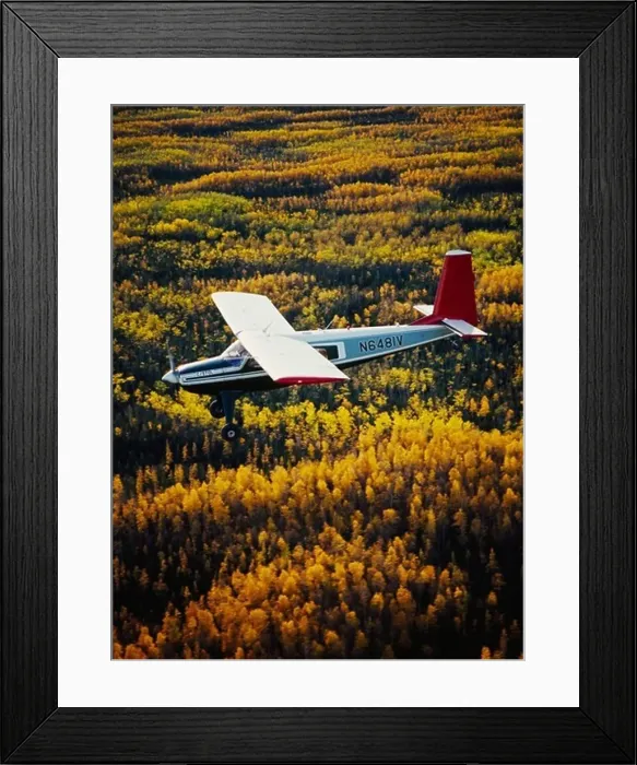Framed Print : Bob Bursiel flying Wright Air's Helio Courier H-295 over boreal forest turning autumn gold near the Wood River south of Framed Print : Bob Bursiel flying Wright Air's Helio Courier H-295 over boreal forest turning autumn gold near the Wood River south of