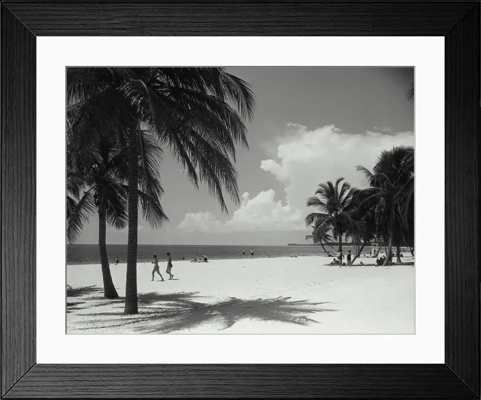 Framed Print : Vintage Photograph. Crandon Park on Key Biscayne, near Miami. Frame 2 Framed Print : Vintage Photograph. Crandon Park on Key Biscayne, near Miami. Frame 2