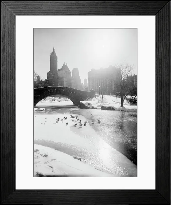 Framed Print : USA, New York State, New York City, Fifth Avenue skyline from Central Park