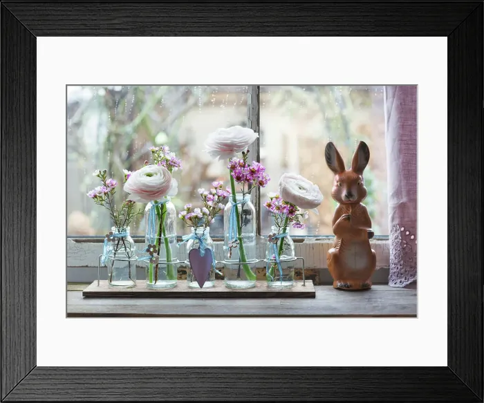 Framed Print : Turban Buttercup (Ranunculus asiaticus) and Geraldton Wax (Chamelaucium uncinatum)