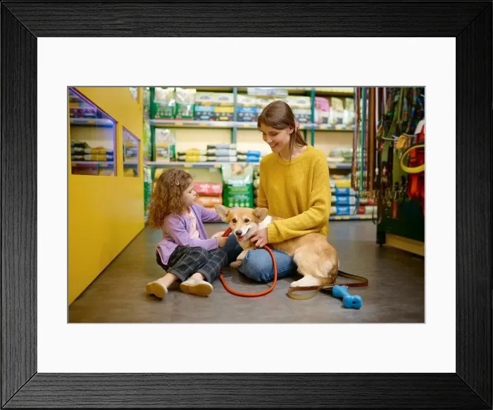 Framed Print : Happy mother and daughter choosing new leash for their corgi dog Framed Print : Happy mother and daughter choosing new leash for their corgi dog