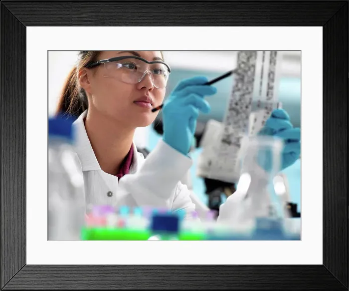 Framed Print : Scientist viewing results of genetic test on DNA autoradiogram in laboratory Framed Print : Scientist viewing results of genetic test on DNA autoradiogram in laboratory
