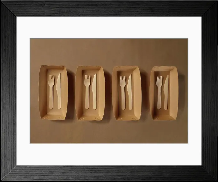Framed Print : Eco friendly disposable tableware