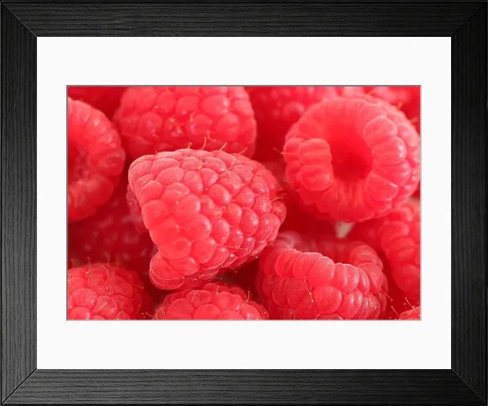 Framed Print : Himbeeren Schöne rote Himbeeren als Nahaufnahme Copyright: xZoonar.com / AndreasxNaumannx 10307912 Framed Print : Himbeeren Schöne rote Himbeeren als Nahaufnahme Copyright: xZoonar.com / AndreasxNaumannx 10307912