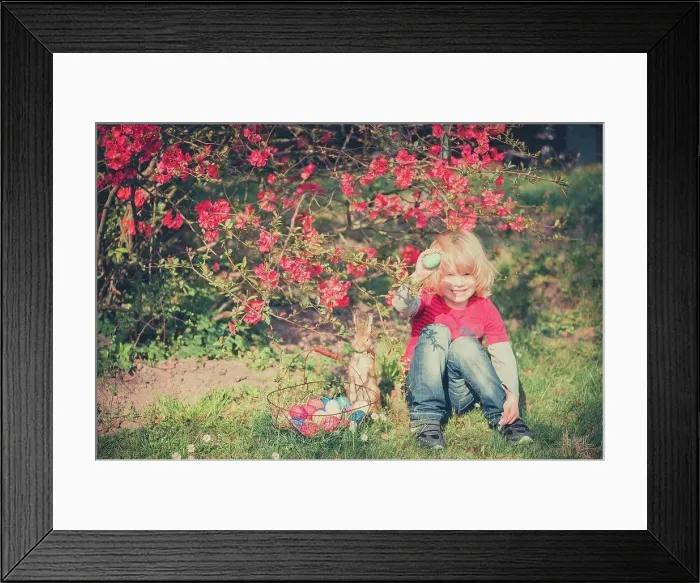 Framed Print : Boy in garden holding Easter egg