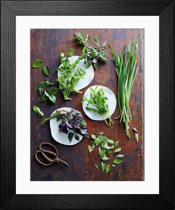 Framed Print : Asian herbs of coriander, Vietnamese mint, kaffir lime leaves, curry leaves, mint
