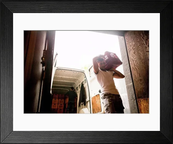 Framed Print : Young man carrying harvested grapes in vineyard crate on shoulder