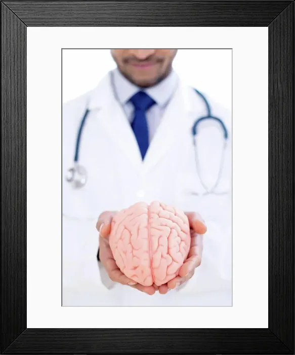 Framed Print : Neurologist holding brain model, close-up Framed Print : Neurologist holding brain model, close-up