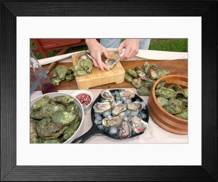 Framed Print : Cultured oysters, shellfish, Food Framed Print : Cultured oysters, shellfish, Food