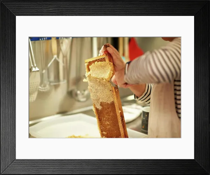 Framed Print : Cropped image of female beekeeper scraping honeycomb in kitchen Framed Print : Cropped image of female beekeeper scraping honeycomb in kitchen