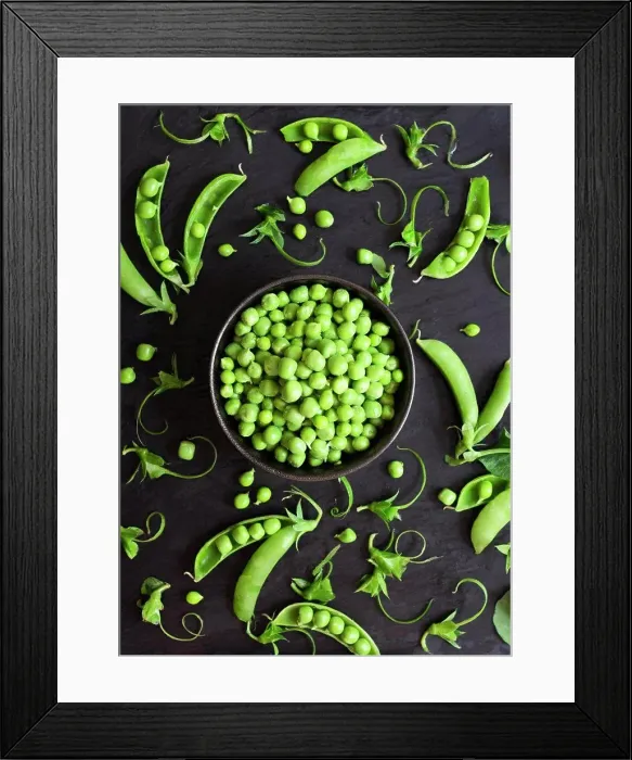 Framed Print : Shelled green peas and pea pods on a black background Framed Print : Shelled green peas and pea pods on a black background