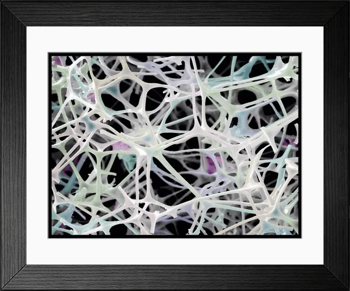 Framed Print : Micro-structure of Magic Eraser material, SEM