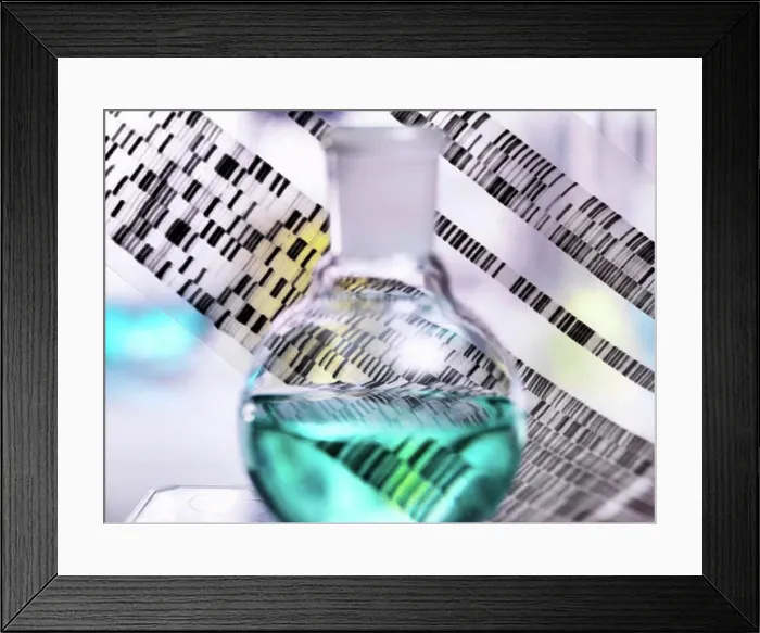Framed Print : DNA autoradiogram gel illustrating genetic results with laboratory glassware