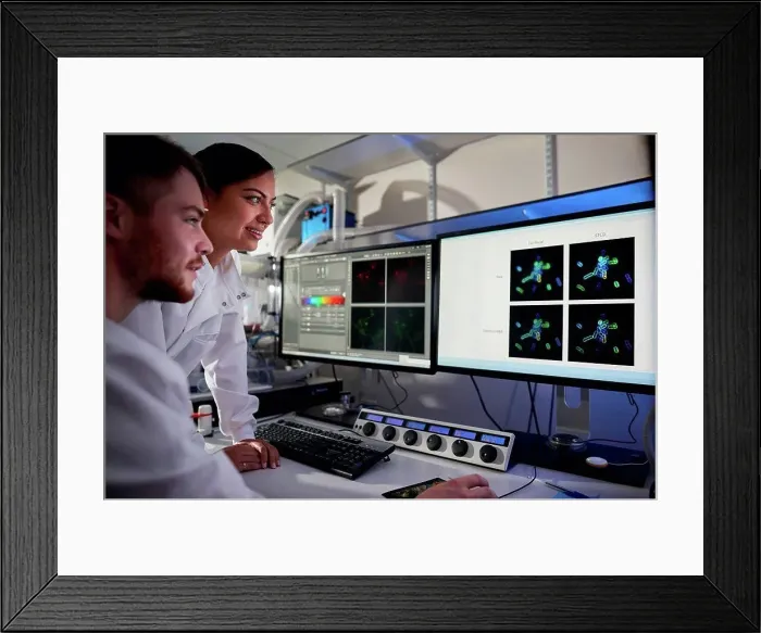Framed Print : Scientists in laboratory using computer Framed Print : Scientists in laboratory using computer