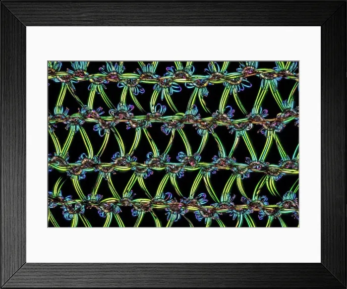 Framed Print : Fine pantyhose, polarized light