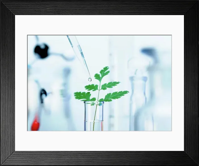 Framed Print : Biotechnology research Framed Print : Biotechnology research