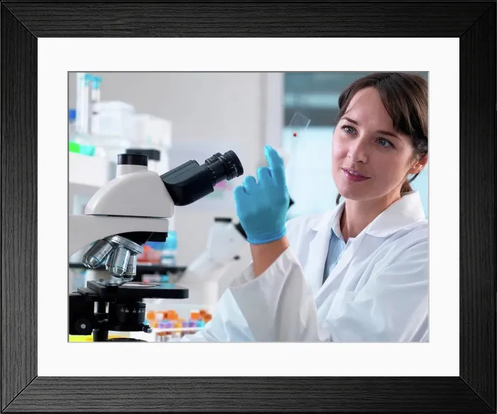 Framed Print : Scientist viewing human blood sample on glass slide in laboratory Framed Print : Scientist viewing human blood sample on glass slide in laboratory