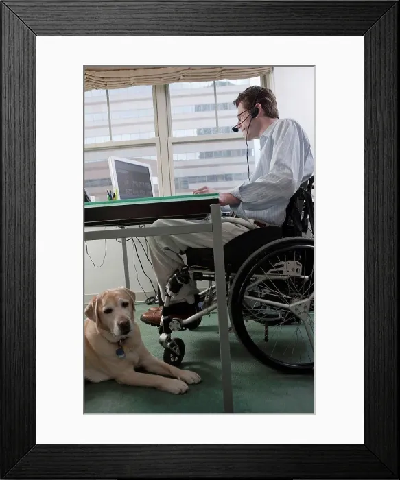 Framed Print : Man in a wheelchair with a Spinal Cord Injury and a headset working at desk in a home office with a service dog Framed Print : Man in a wheelchair with a Spinal Cord Injury and a headset working at desk in a home office with a service dog