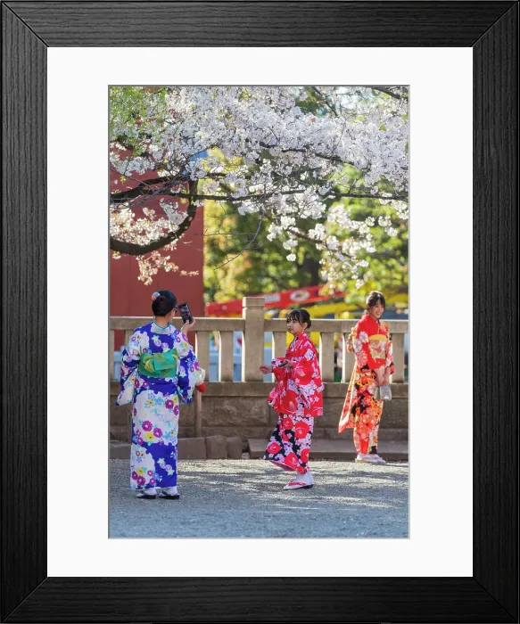Framed Print : Women in kimonos, Sensoji Temple, Asakusa, Tokyo, Japan, Asia Framed Print : Women in kimonos, Sensoji Temple, Asakusa, Tokyo, Japan, Asia