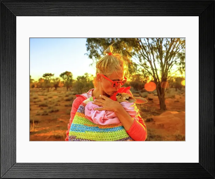 Framed Print : Tourist woman holding and kissing kangaroo joey at sunset light in Australian Outback Framed Print : Tourist woman holding and kissing kangaroo joey at sunset light in Australian Outback