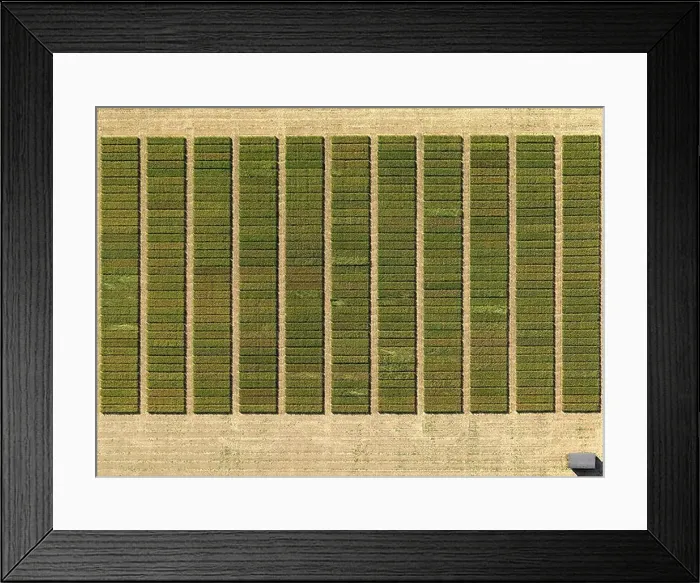 Framed Print : Aerial view of crops in agricultural landscape, Hohenheim, Stuttgart, Baden-Wuerttemberg, Germany