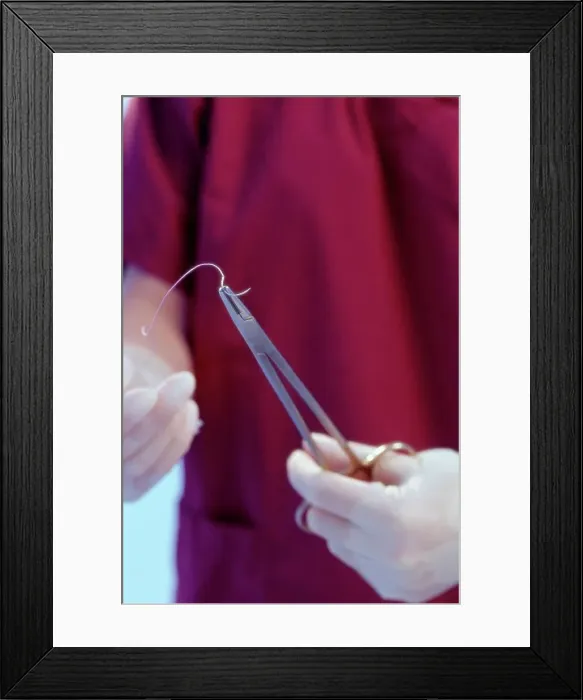 Framed Print : Surgeon preparing stitches Framed Print : Surgeon preparing stitches