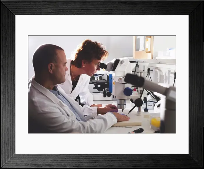 Framed Print : Male and female scientists using microscope in laboratory Framed Print : Male and female scientists using microscope in laboratory