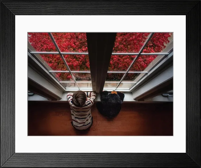 Framed Print : Overhead of boy and teddy bear looking out window on fall day