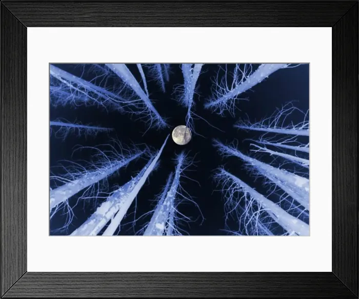 Framed Print : Low angle view of the moon Framed Print : Low angle view of the moon