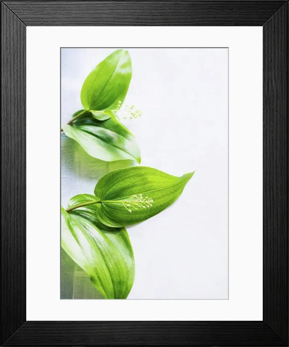 Framed Print : Still life of green leaf stem with flower bud on table, overhead view