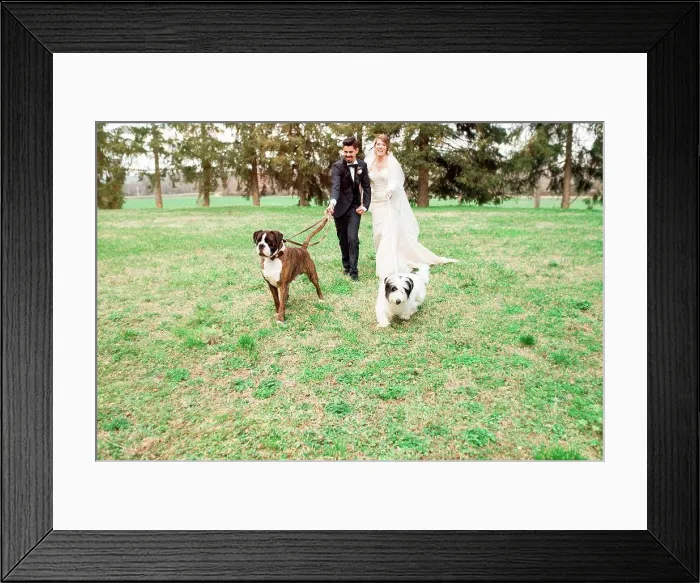 Framed Print : Portrait of bride and bridegroom with their dogs Framed Print : Portrait of bride and bridegroom with their dogs