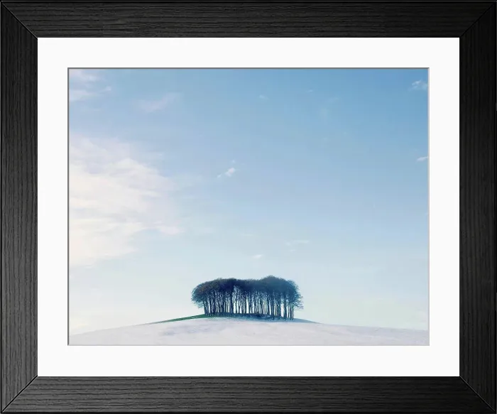 Framed Print : Bare trees on snow covered hill, Devon, England, UK