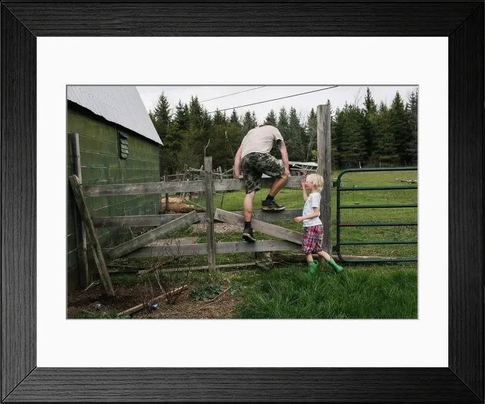 Framed Print : Canada, Kingston, Boy (8-9) assisting father climbing over fence in field Framed Print : Canada, Kingston, Boy (8-9) assisting father climbing over fence in field