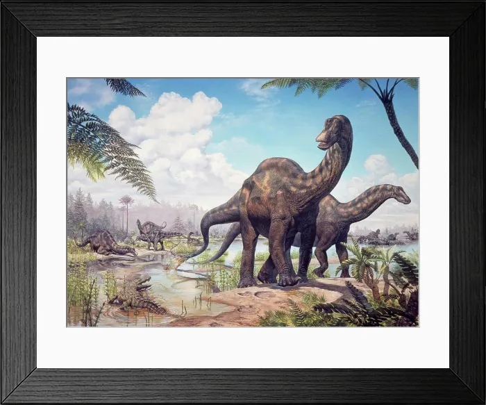 Framed Print : Large Dicraeosaurus sauropods from the Late Cretaceous of Africa Framed Print : Large Dicraeosaurus sauropods from the Late Cretaceous of Africa