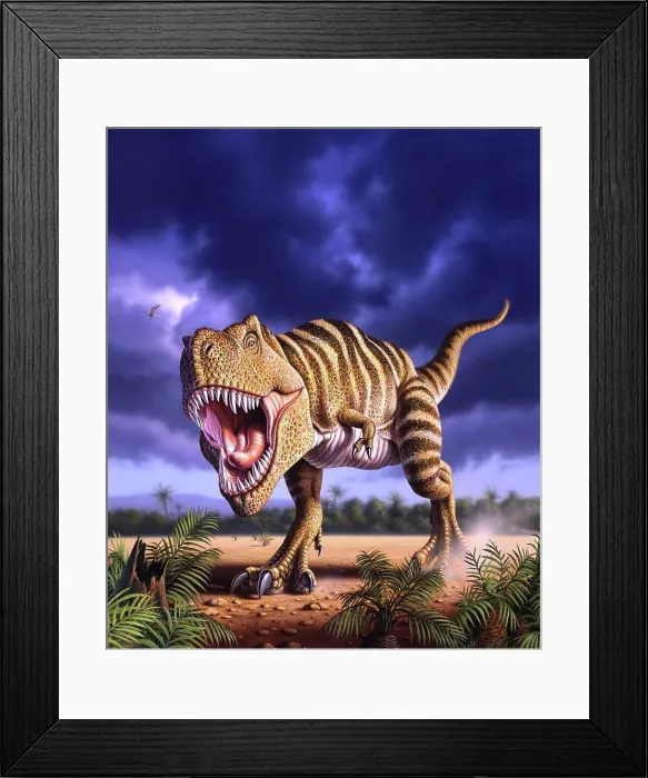 Framed Print : A Tyrannosaurus Rex attacks, lit by the late afternoon sun Framed Print : A Tyrannosaurus Rex attacks, lit by the late afternoon sun