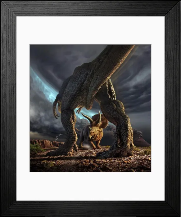 Framed Print : A Tyrannosaurus Rex and Triceratops in a classic face off Framed Print : A Tyrannosaurus Rex and Triceratops in a classic face off