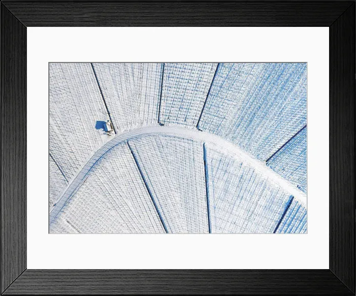 Framed Print : Germany, Baden Wurttemberg, Snow covered vineyard on Kappelberg in winter