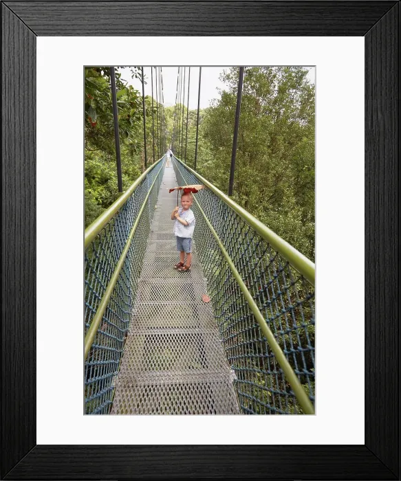 Framed Print : Boy standing on long footbridge, Botanical Gardens, Singapore