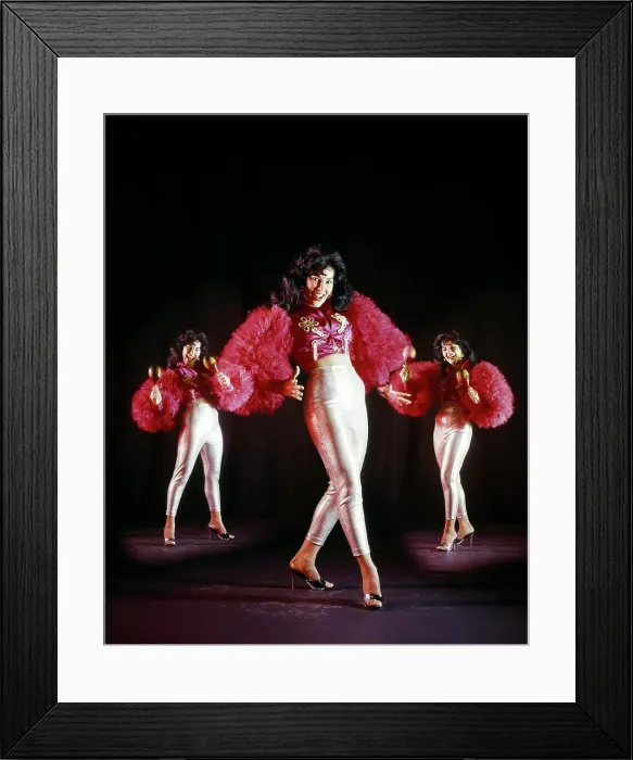 Framed Print : 1970s LATIN MUSIC TRIPTYCH SMILING WOMAN DANCER PLAYING MARACAS LOOKING AT CAMERA WEARING SILVER LAME TIGHTS RED Framed Print : 1970s LATIN MUSIC TRIPTYCH SMILING WOMAN DANCER PLAYING MARACAS LOOKING AT CAMERA WEARING SILVER LAME TIGHTS RED