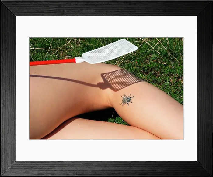 Framed Print : Fly on Female Leg, Tattoo, Germany, Europe Framed Print : Fly on Female Leg, Tattoo, Germany, Europe