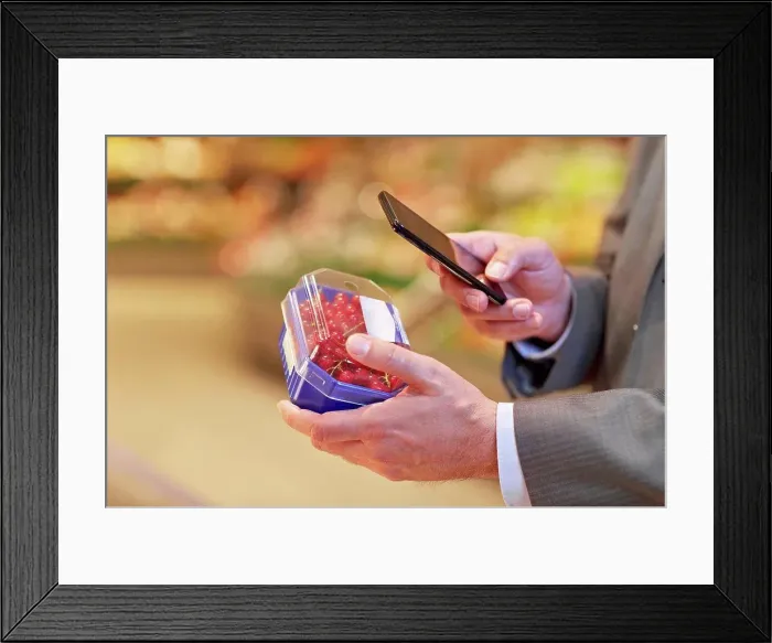 Framed Print : Germany, Cologne, Mature man with redcurrant and smart phone in supermarket Framed Print : Germany, Cologne, Mature man with redcurrant and smart phone in supermarket