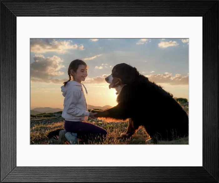 Framed Print : Beautiful little girl and her dog playing at sunset together